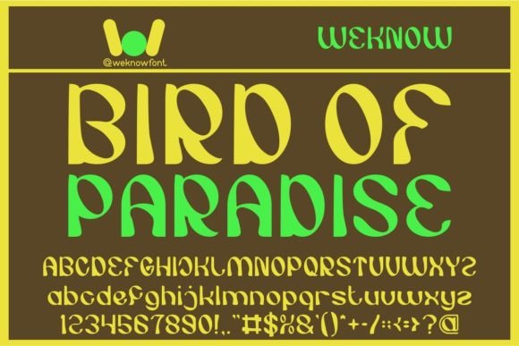 Bird of Paradise Font for Web Design